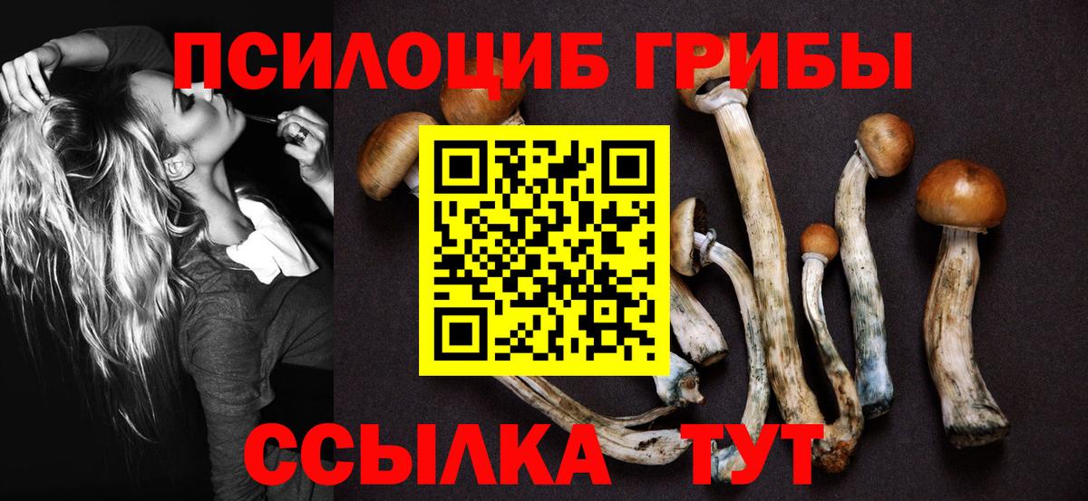 Галлюциногенные грибы мухоморы Партизанск