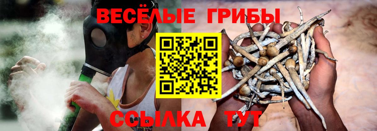 Галлюциногенные грибы Psilocybine cubensis  Вход с VPN  Партизанск  Галлюциногенные грибы мицелий 